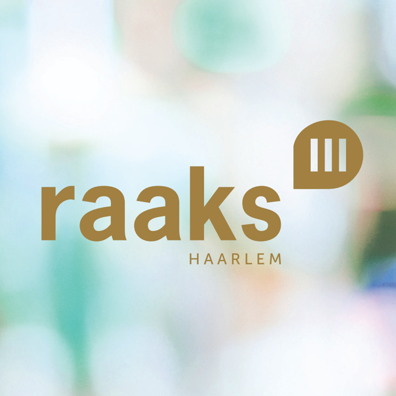 Nieuwbouwproject Raaks 3 Haarlem